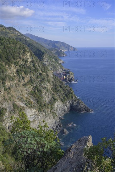 Cliffs and Vernazza
