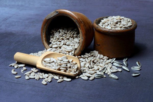 Peeled sunflower seeds in pots and scoops