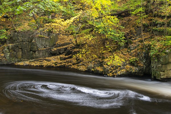 River Bode in the autumnal Harz Mountains