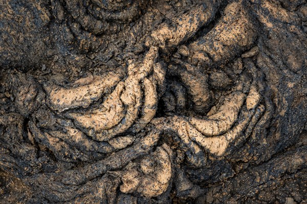 Pahoehoe lava