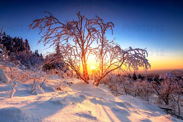 View at sunset from the slate rock Grossen Feldberg in Taunus