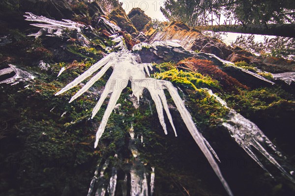 Looking up at a rock with icicles