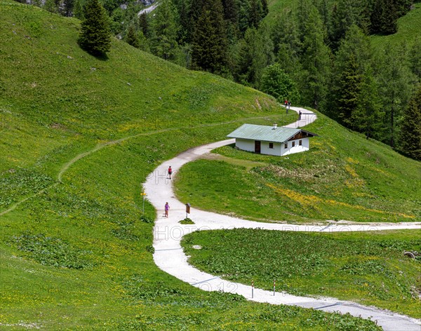 Landscape at the Jenner in Berchtesgadener Land