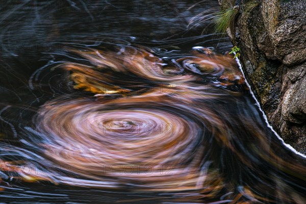 Leaves in the river Bode in the autumnal Harz