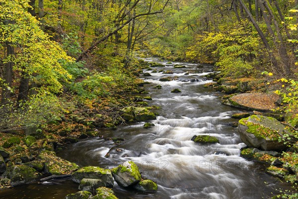 River Bode in the autumnal Harz Mountains