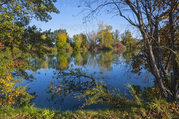 Fish pond on the river Lafnitz in autumn