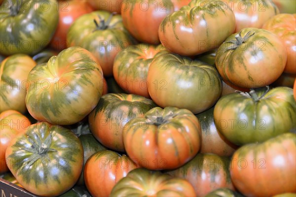 Tomatoes