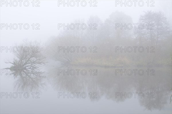 Ems oxbow lake in the fog