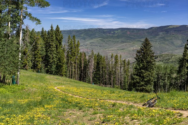 Bike Trail