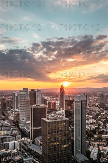 View over Frankfurt at sunset