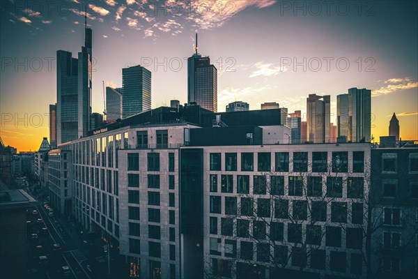 View over the roofs of Frankfurt