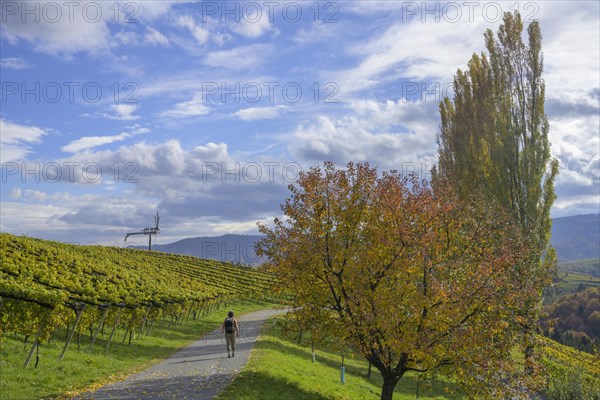 Hiker walking on side road towards Klapotetz