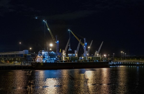 Bulk carrier DENSA SEA LION in the Port of Tyne