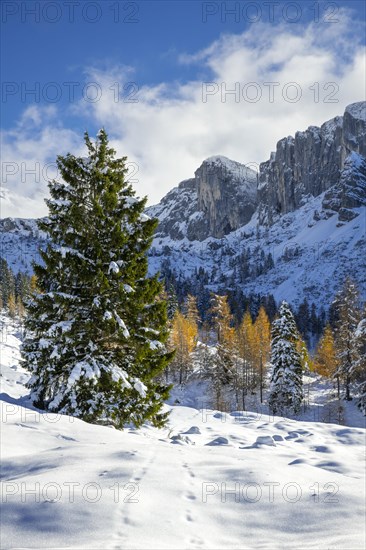 Mountain landscape in late autumn with snow