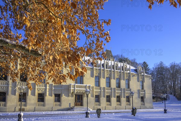 Beech leaves and wintry castle