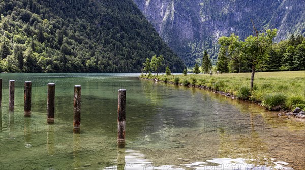 Landscape at the Obersee in Berchtesgadener Land