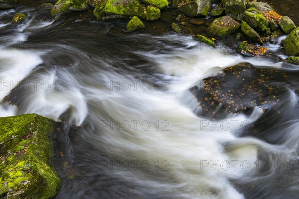River Bode in the autumnal Harz Mountains