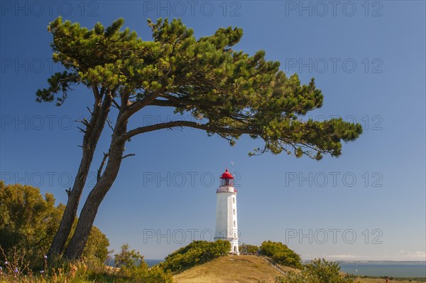 Lighthouse on the island of Hiddensee
