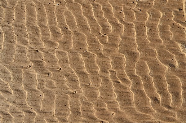 Wavy formation on clay soil on the river bank after flooding