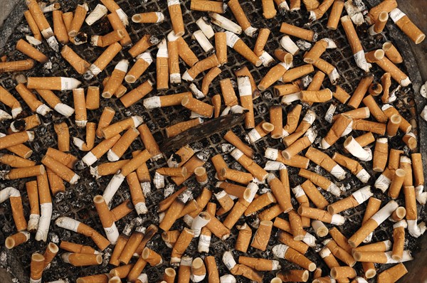 Cigarette butts on a grid