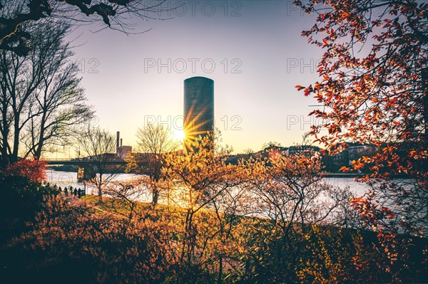 View through bushes of the Westhafen Tower in Frankfurt