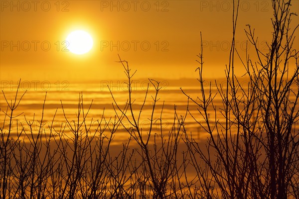 Sunset behind bare bushes on a peak