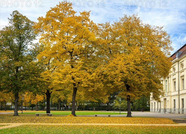 Autumnal impressions in a park