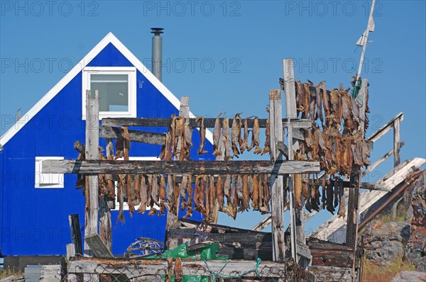 Racks of dried fish in front of simple wooden houses