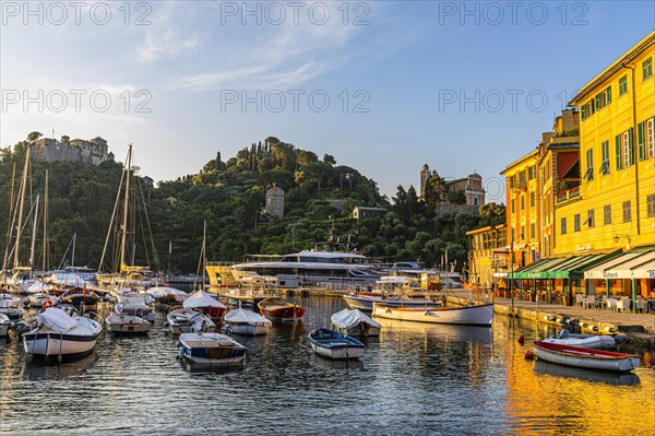 Boats anchored in the harbour of Portofino in the morning light