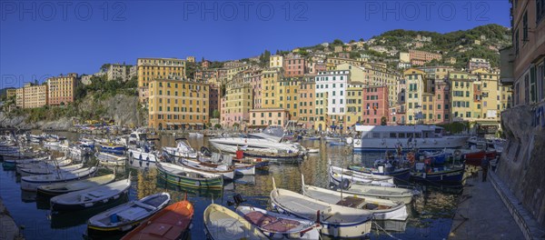 Harbour with fishing boats and historic skyscrapers