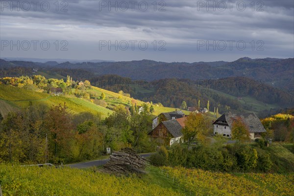 Sun spots on the autumnal landscape