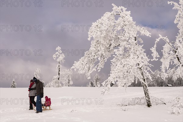 Walkers in winter on the Kahler Asten in Sauerland