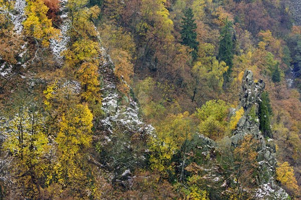 First snow on the autumnal slopes of the Bode Valley in the Harz Mountains