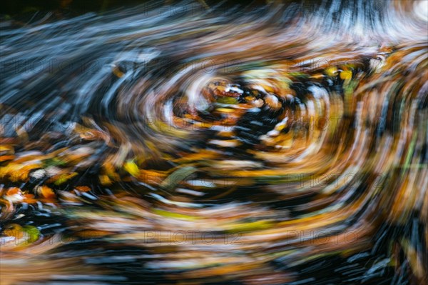 Leaves in the river Bode in the autumnal Harz