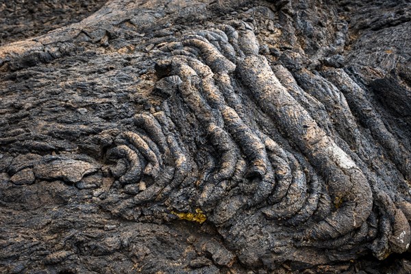 Pahoehoe lava