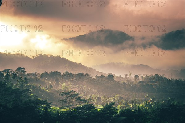 Landscape with rice terraces and forests