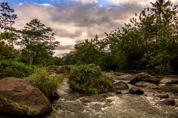 River with jungle