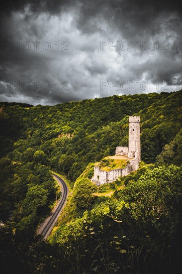 Ruin of the Loewenburg