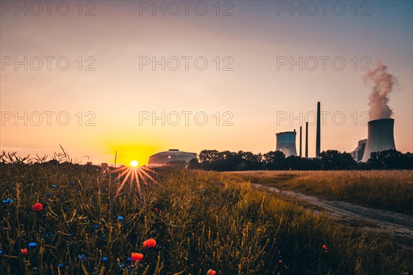 Beautiful sunrise in a field