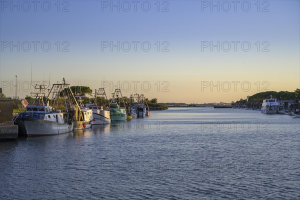 Fishing boats in the harbour of