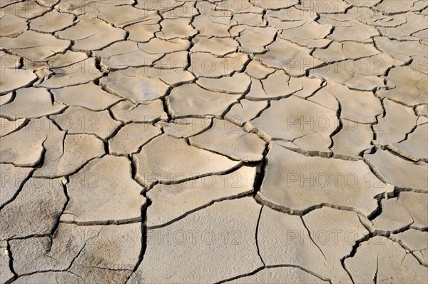 Dried out clay soil with cracked clay slabs