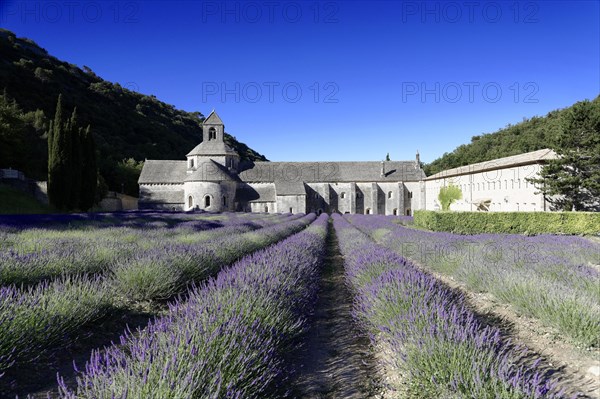 Cistercian abbey Abbaye Notre-Dame de Senanque