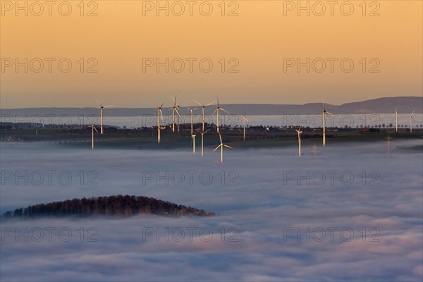 Wind turbines illuminated by the sun and forest rising from cloud cover
