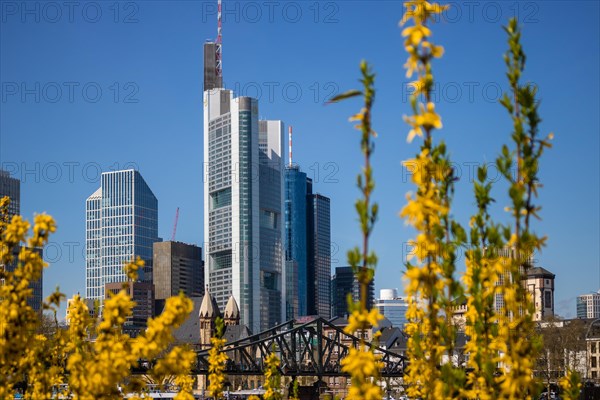 Skyline tower in sunshine among forsythia