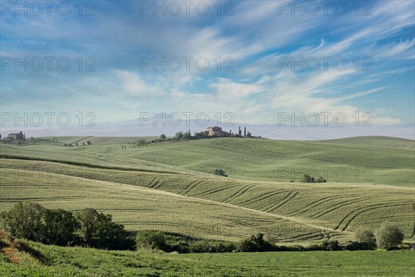 Podere Belvedere