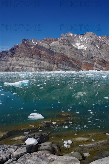 View of a fjord filled with drift ice