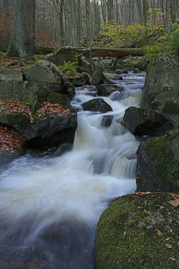 River in the Ilse Valley