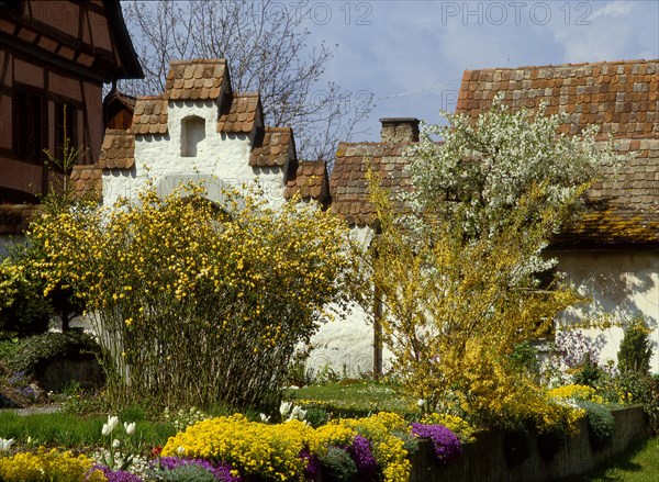 Half-timbered house and old castle wall