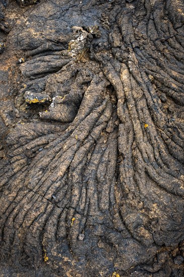 Pahoehoe lava