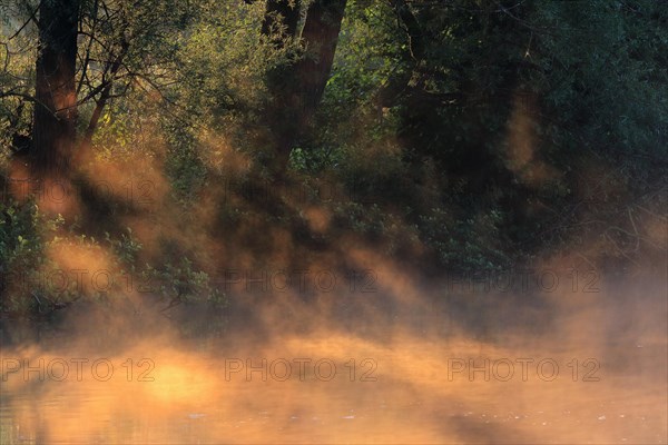 Sun shining through fog